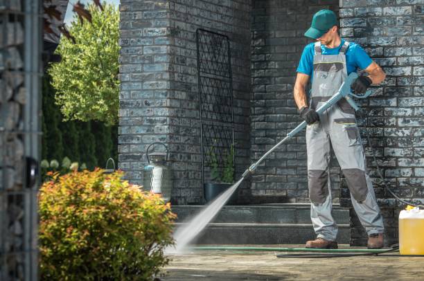 Best Animal Enclosure Cleaning  in Thorndale, TX
